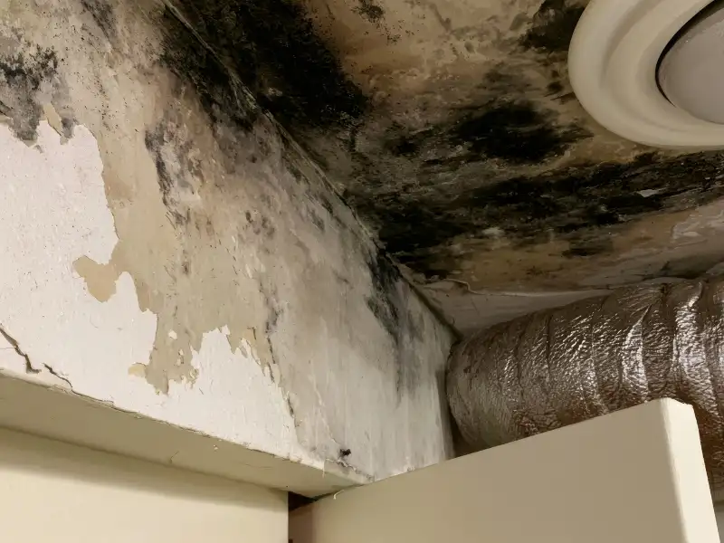 Ceiling and wall with severe mold and water damage.