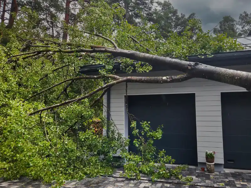 Fallen tree branches blocking a garage.