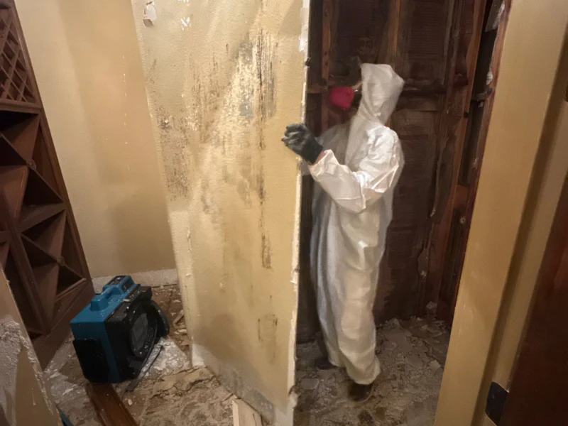 Person in protective suit inspecting a mold-damaged room.
