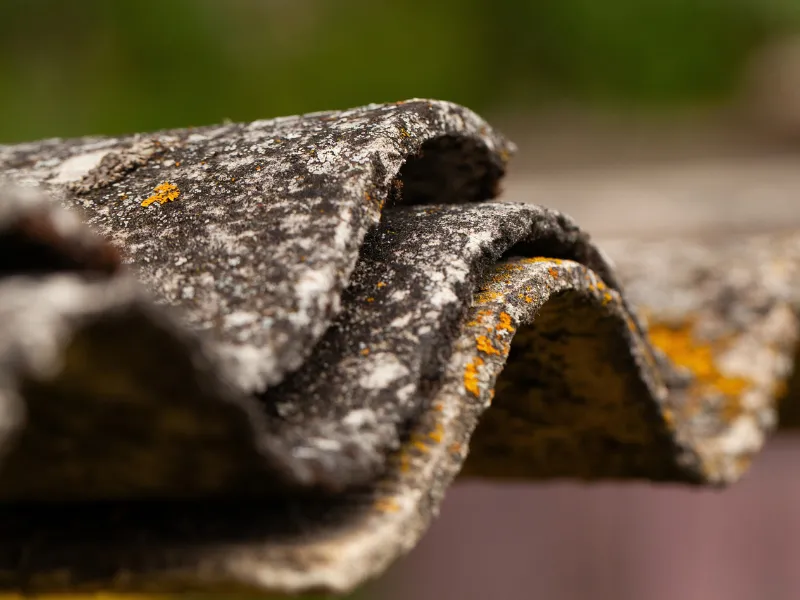 Close-up of weathered, lichen-covered roof tiles.