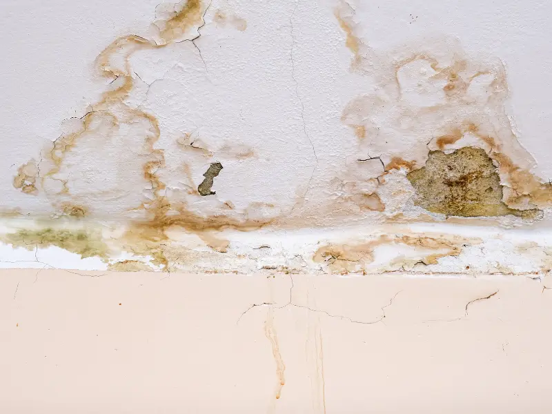 Water-damaged wall with peeling paint and mold stains.