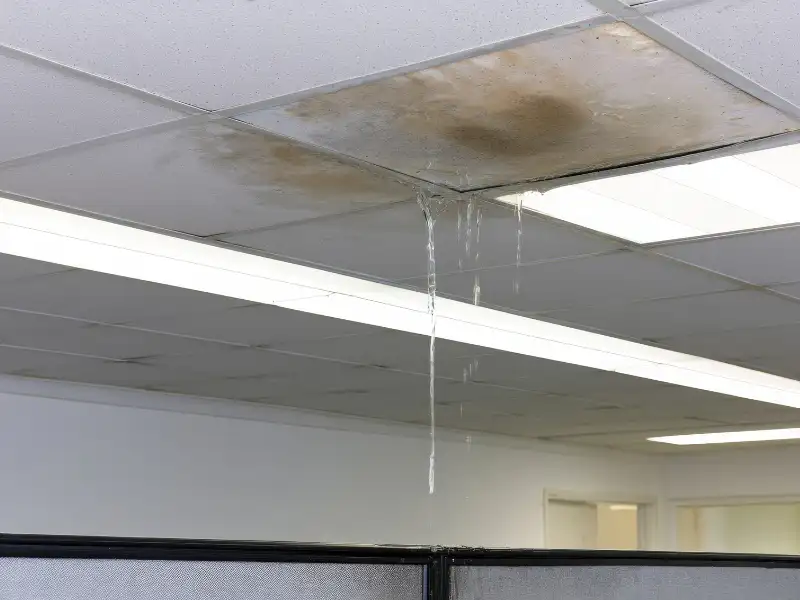 Water leaking through a stained office ceiling tile.